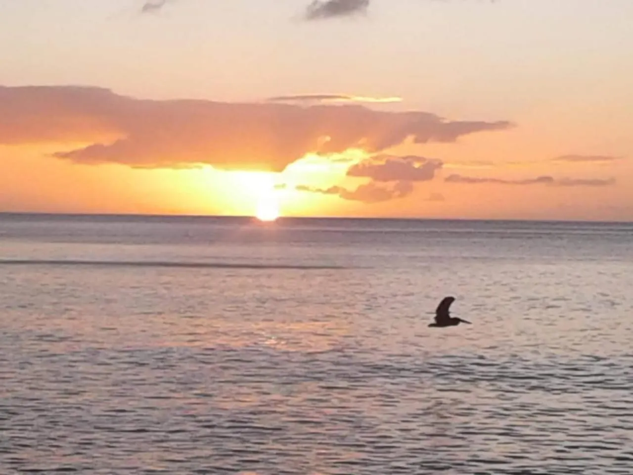 Kanalu Studio Bouillante 0*,  Guadeloupe